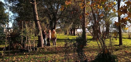 El proyecto nace de la fantasía de un grupo de amigos