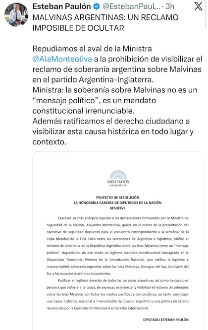 El proyecto presentado por Paulón