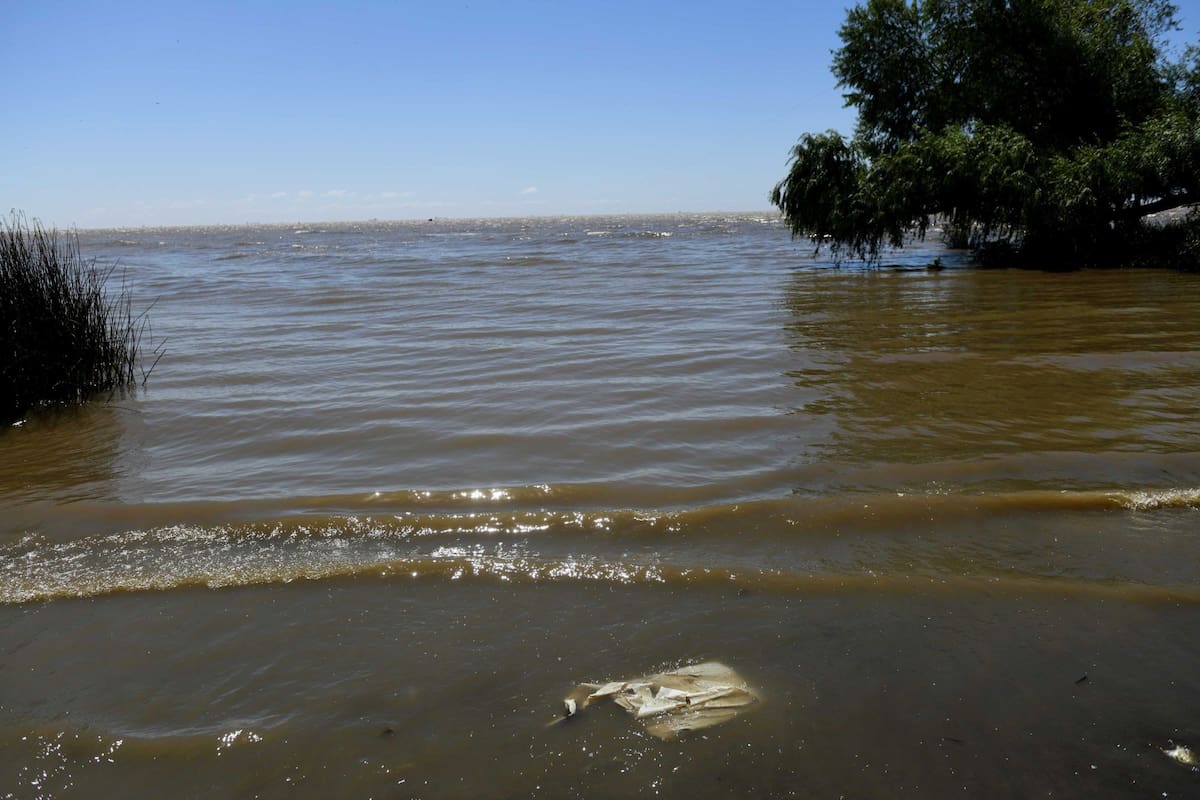 El proyecto proporciona el primer conjunto de datos estandarizado y a gran escala generado por la ciudadanía para ecosistemas acuáticos en la Argentina