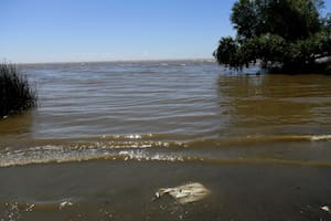 Un semáforo ambiental para determinar contaminación en ríos, arroyos y lagos: cuáles están peor y mejor