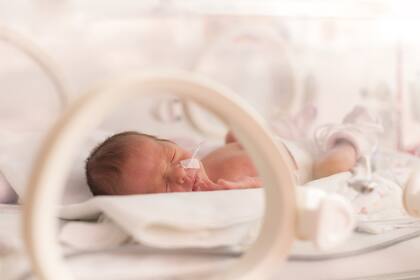 El proyecto que avanza en el Senado extiende la licencia por maternidad en caso de nacimiento de un bebé prematuro