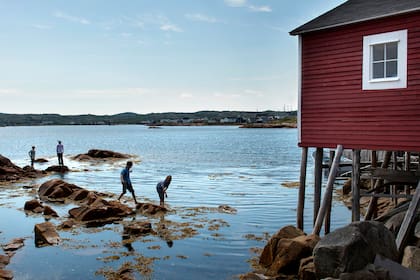 El proyecto reactivó el conocimiento de la isla por jóvenes involucrados en temas como el medioambiente, el turismo y la vuelta a las raíces