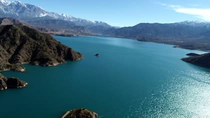El proyecto se hará en cuatro instancias; comenzarán por la deforestación de árboles en mal estado