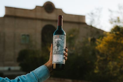 El proyecto surge de un propósito claro: volver a poner en valor el potencial de Agrelo como zona vitivinícola de referencia.