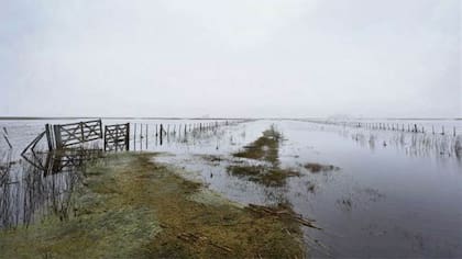 El proyecto también busca dar apoyo económico en situaciones de "emergencia climática” para el agro