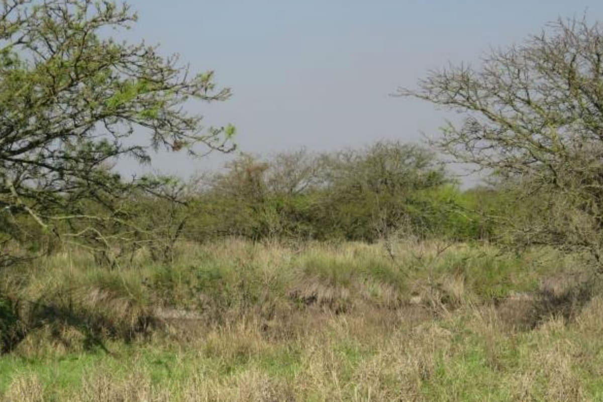 El proyecto tendrá una primera fase en campos del norte provincial