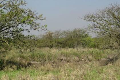 El proyecto tendrá una primera fase en campos del norte provincial