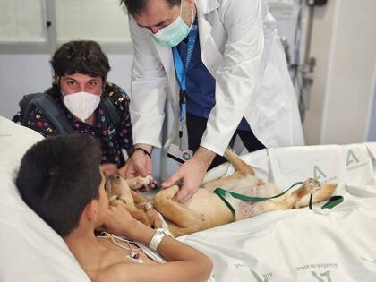 El proyecto "Tu Mascota te Acompaña" acerca las mascotas a los pacientes terminales del hospital de Málaga