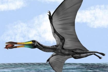 El pterosaurio llegaba a medir cinco metros y pesar 250 kilos