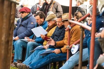 El público en la Exposición Internacional Braford 2022 en el predio de la Sociedad Rural de Corrientes