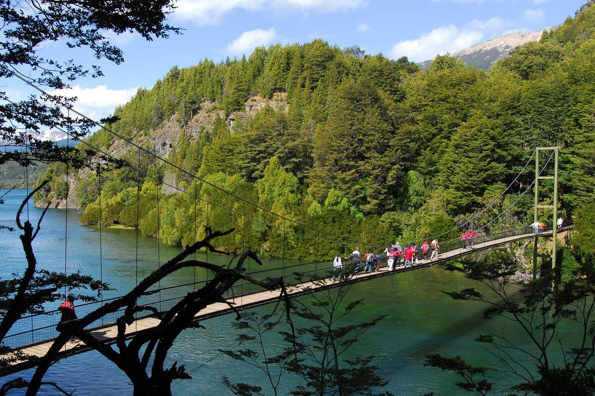 El puente colgante, en el parque nacional Los Alerces
