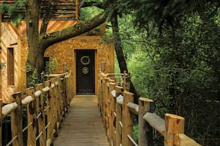 Glamping. Cómo es la casa del árbol más lujosa y artesanal de Inglaterra