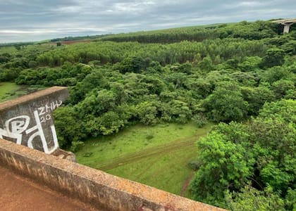 El puente desde donde cayó la víctima