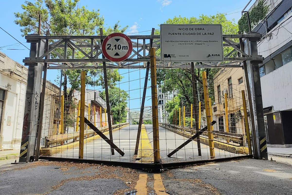 El puente une los barrios de Palermo y Colegiales