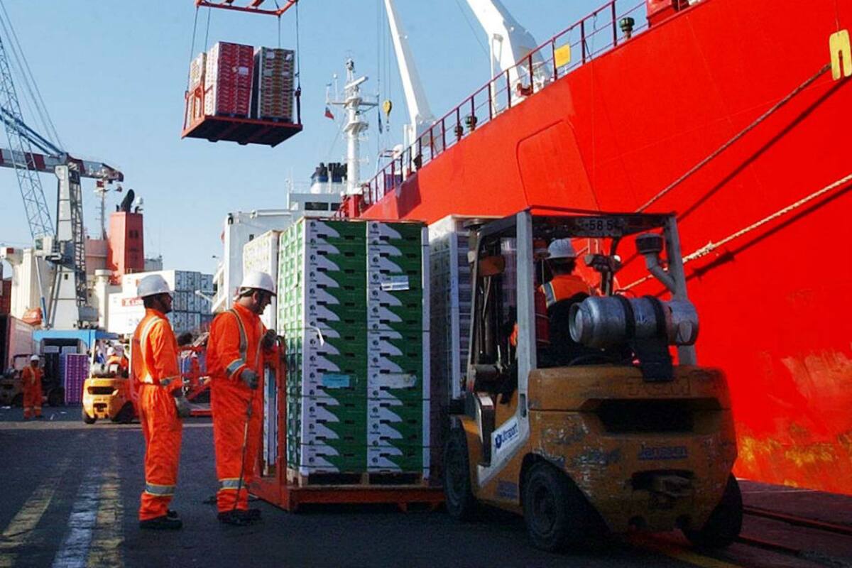 El puerto de Buenos Aires es una de las principales terminales receptoras de importaciones