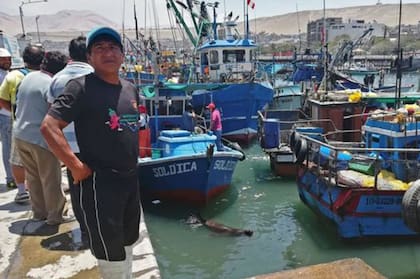 El puerto de Ilo se pequeño y no moviliza ni la décima parte de la carga que pasa por el de Arica.