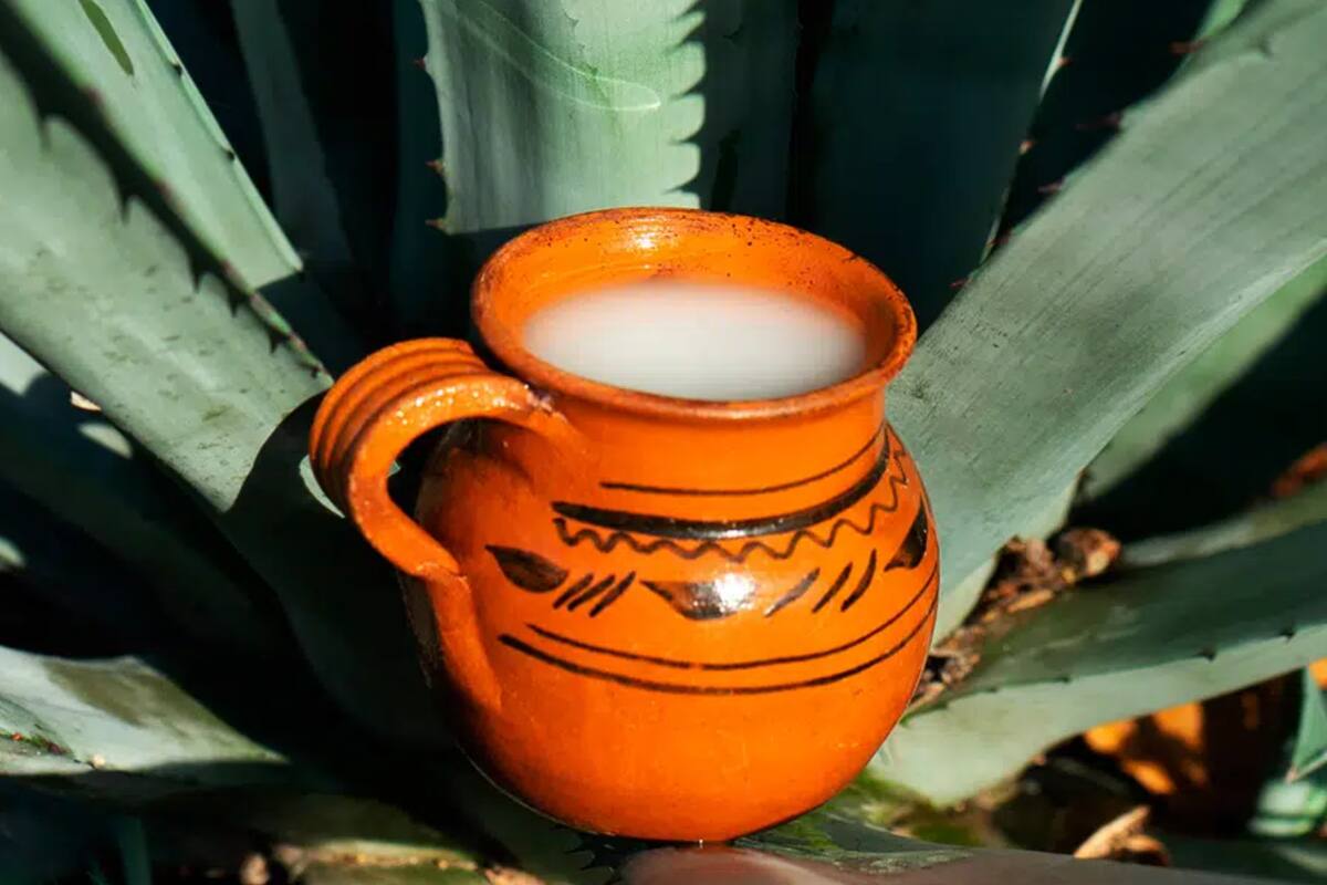 El pulque es una de las bebidas mexicanas más consumidas; se dice que su origen es mítico