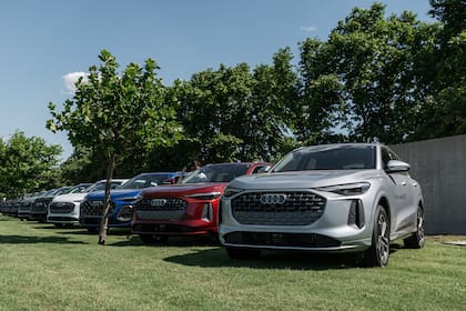 El Q5 es el segundo modelo más vendido de Audi en la Argentina