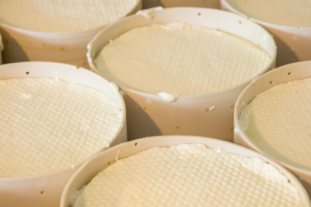 Los buenos chefs emergentes suelen elegir muy bien a sus provedoores de queso de cabra.