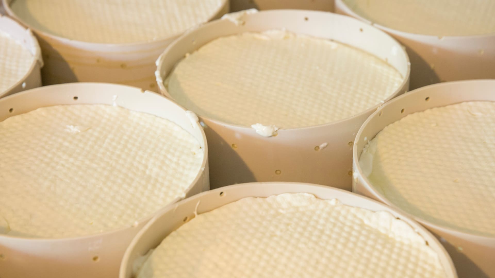Los buenos chefs emergentes suelen elegir muy bien a sus provedoores de queso de cabra.