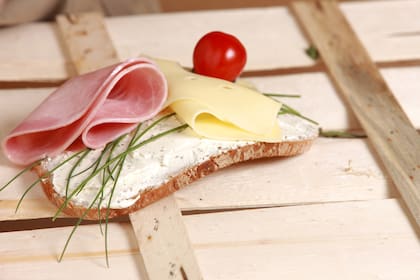 El queso es un alimento rico en proteínas que contribuyen a la regeneración de tejidos y el mantenimiento de la función muscular