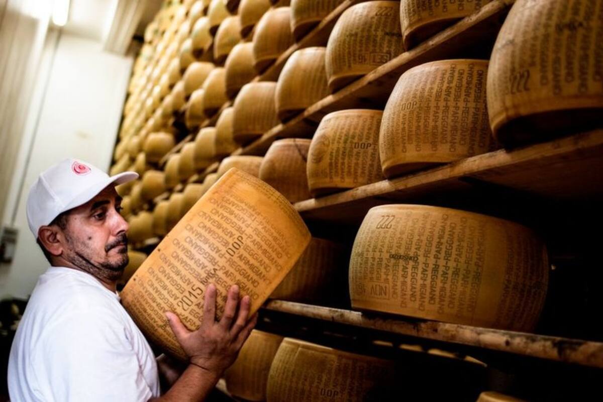 El queso pudo haber contribuido al cambio de la demografía en Europa a partir del Neolítico.
