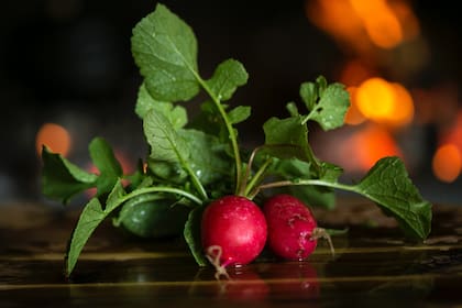 El rábano también contiene glucosinolatos y otros compuestos vegetales que han despertado el interés de la comunidad científica