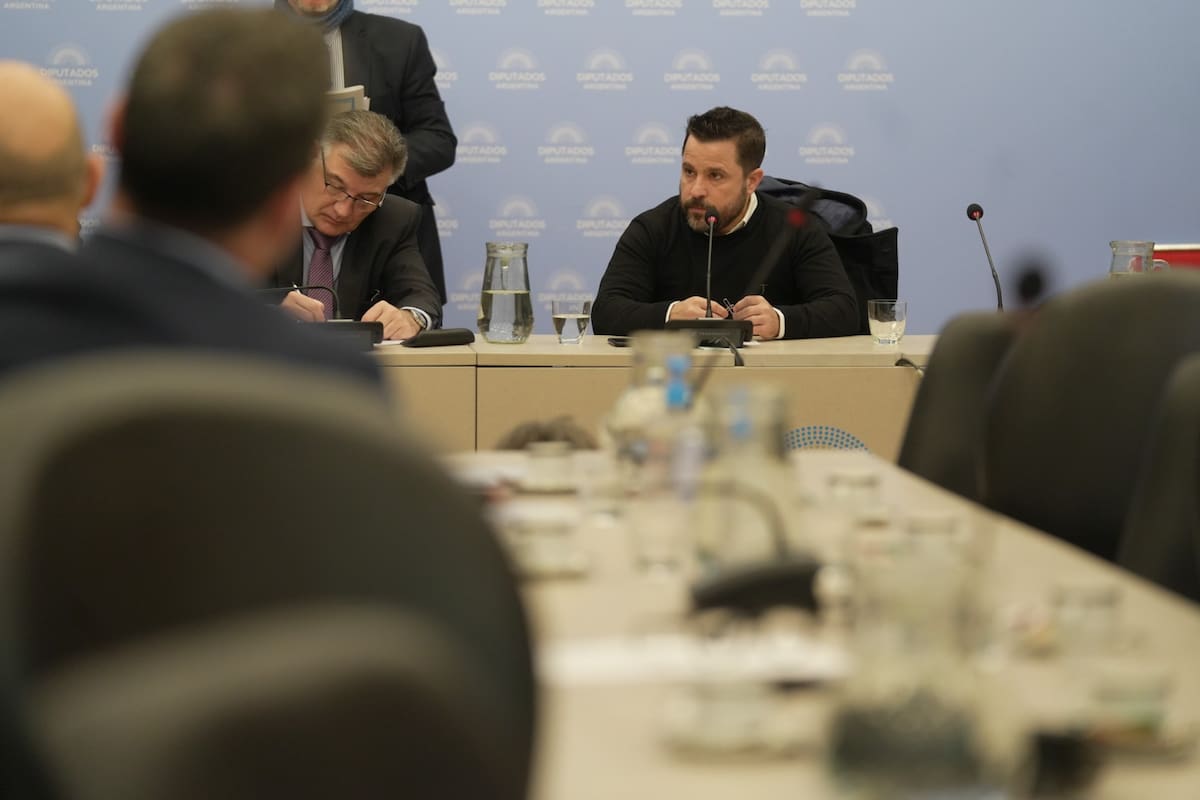 El radical Martín Tetaz, presidente de la Comisión de Legislación del Trabajo