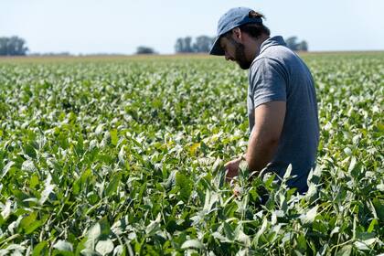 El Rally de Lanzamientos recorrió Chacabuco, Junín y América, con foco en genética, manejo y desarrollo regional