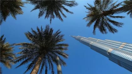 El rascacielos Burj Khalifa de Dubái contrasta con palmeras datileras en su base