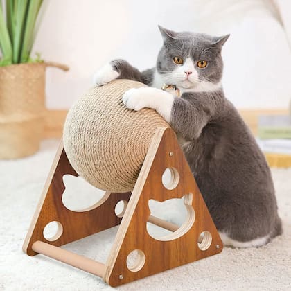 El rascador es uno de los juguetes preferidos de los felinos