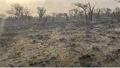 El reclamo del sector llegó al Banco Nación, que analiza herramientas de asistencia, y al gobierno provincial, que evalúa la emergencia agropecuaria