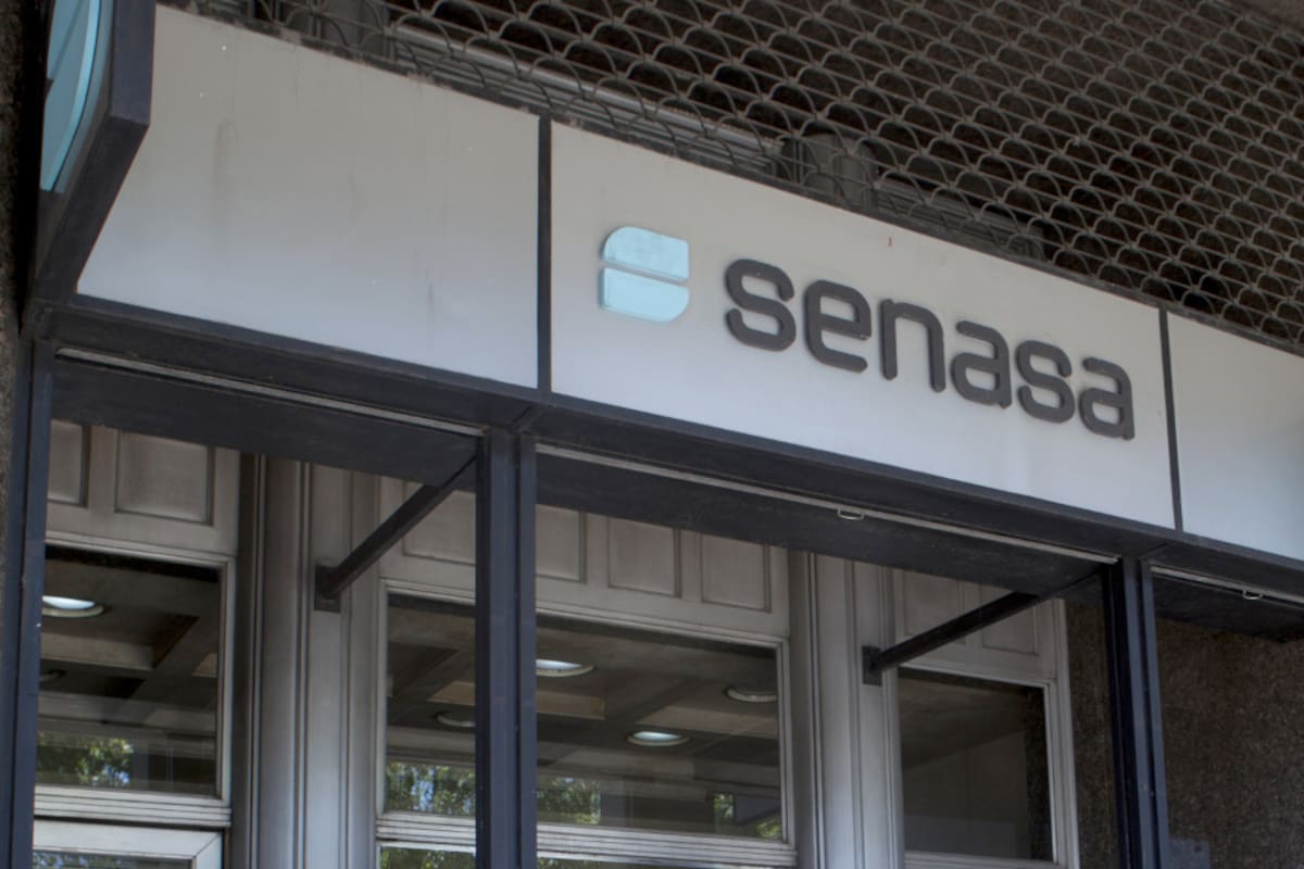 El reclamo fue al Senasa y también a la Secretaría de Agricultura, la Secretaría de Coordinación de la Producción y la Secretaría de Industria y Comercio