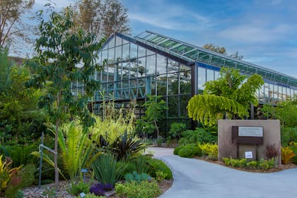 El recorrido por el Jardín Botánico es otra actividad para hacer en familia