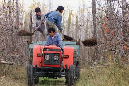 El recurso humano, factor clave en las economías regionales