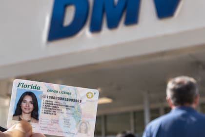 El reemplazo de la licencia de Florida podrá realizarse sin costo cuando se cumpla con el plazo establecido