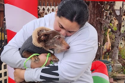 El reencuentro del perro con su dueña en California