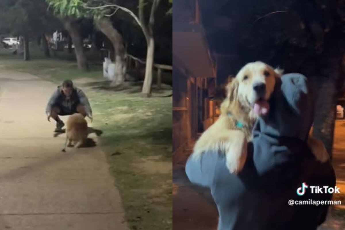 El reencuentro entre la expareja de una joven y su mascota (Foto: Captura de video)