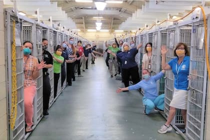 El Refugio de Animales de Palm Beach vació una de sus perreras (Palm Beach County Animal Care and Control).
