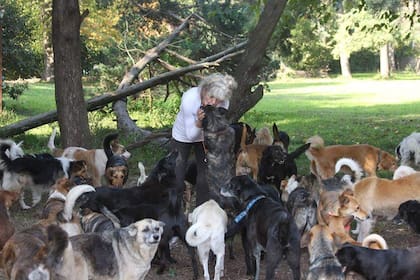 El refugio El Edén de los Rescatados alberga a más de 100 perros