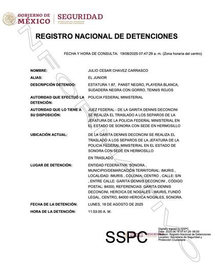 El Registro Nacional de Detenciones muestra la información de llegada a México de Chávez Jr.