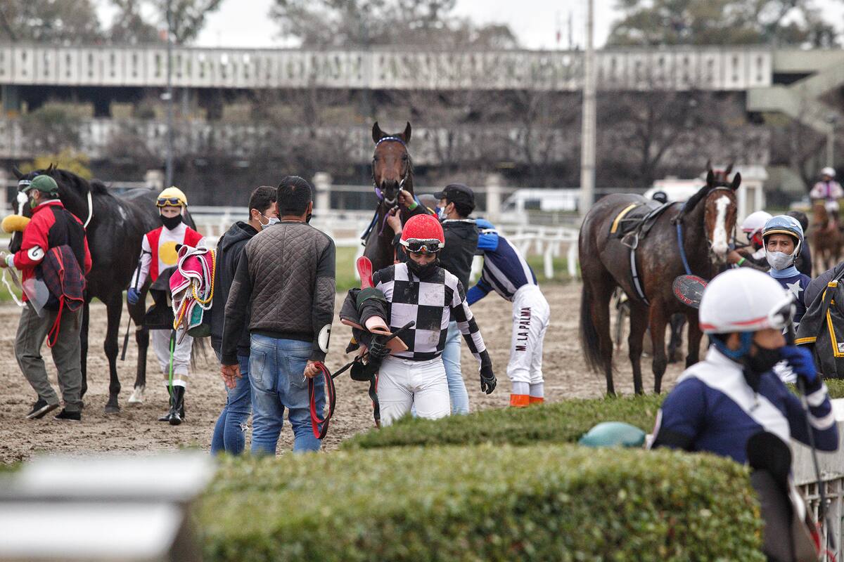 El regreso de las carreras a Palermo tras cinco meses y medio; el turf recuperó el oxígeno que representan los premios para sus trabajadores