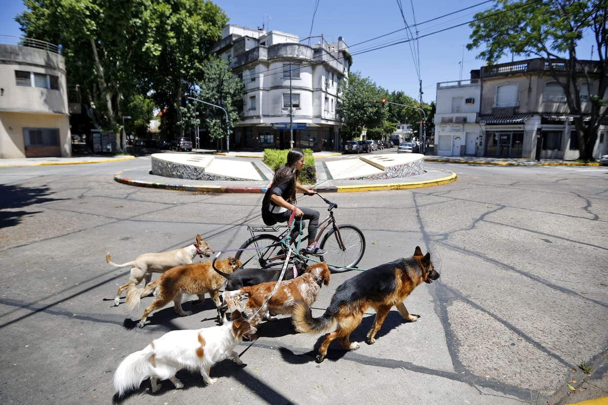 El relajado ritmo de vida en Parque Chas no es presionado por la inseguridad