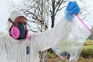 Confirman por primera vez la presencia de hantavirus en la provincia de Catamarca