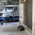 Murieron 151 personas en situación de calle en el último año