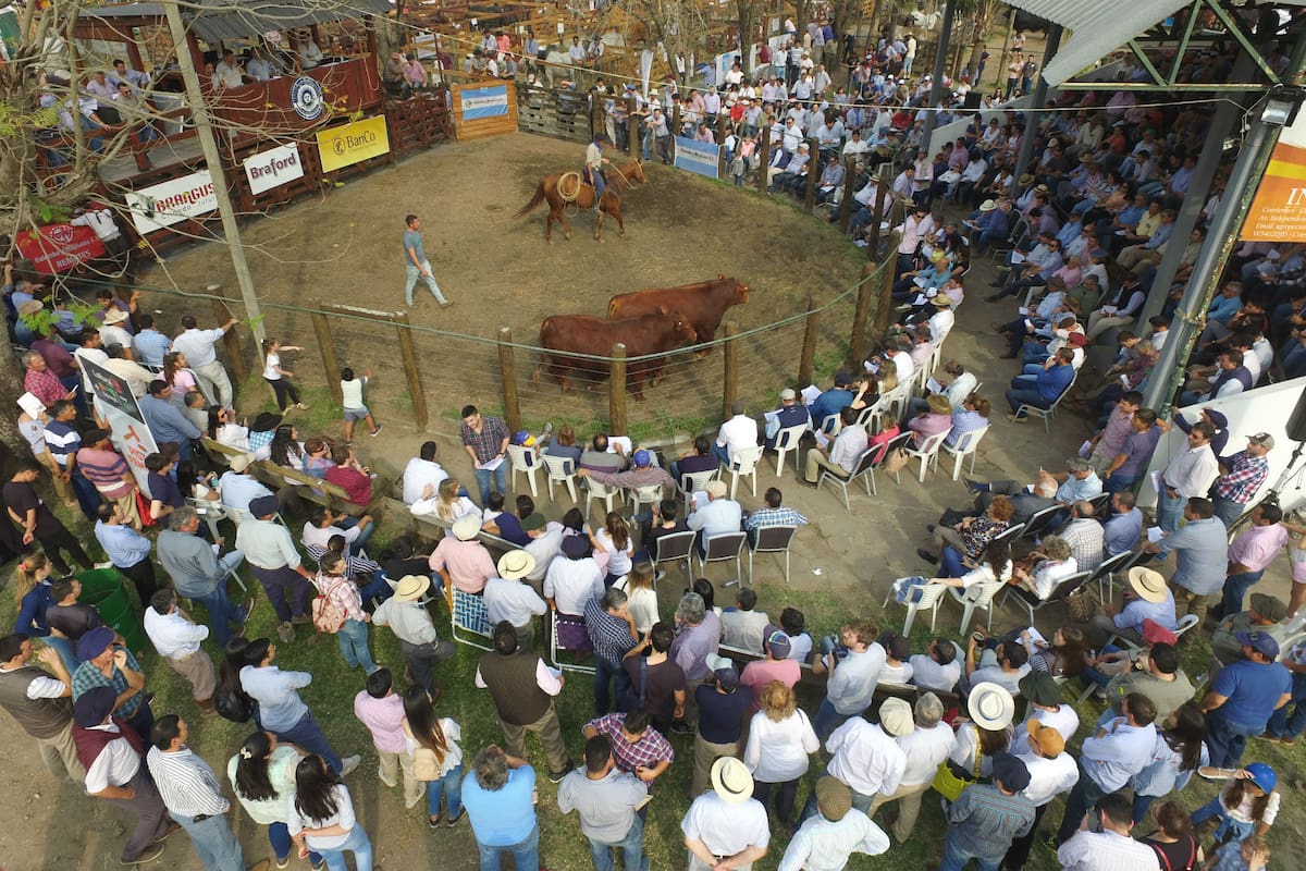 El remate contó con una importante concurrencia de público