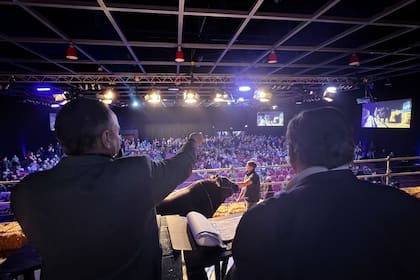 El remate de Angus fue uno de los mejores de los últimos años para la raza