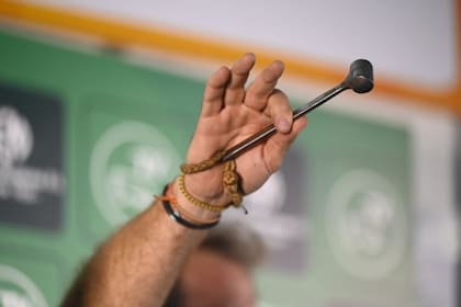El remate será televisado y se realizará bajo el martillo de Colombo y Magliano