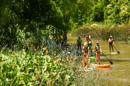 El remo, presente en los retiros del Delta