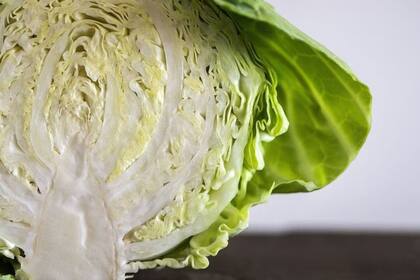 El repollo es un aliado para controlar el colesterol